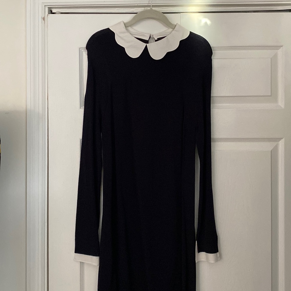 Ted Baker Dress Scalloped Neck